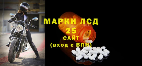 ПСИЛОЦИБИНОВЫЕ ГРИБЫ Абаза