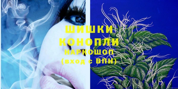 гашик Алексеевка