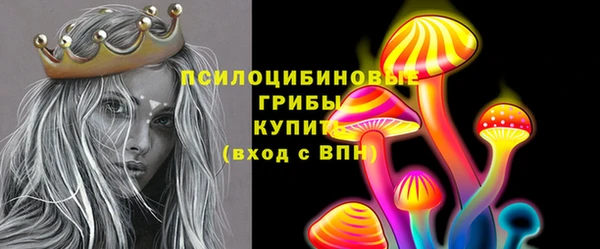 ПСИЛОЦИБИНОВЫЕ ГРИБЫ Абаза
