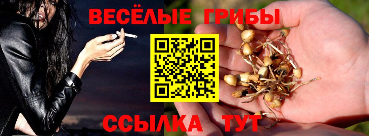 Галлюциногенные грибы мухоморы  Галлюциногенные грибы Psilocybe  Вход с VPN  купить наркоту  Кандалакша 
